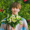 kangdaniel